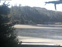 ./images/calvert/beach/20210529/beach20210529_090503.jpg