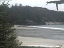 ./images/calvert/beach/20210529/beach20210529_134002.jpg