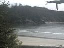 ./images/calvert/beach/20210529/beach20210529_150503.jpg