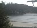 ./images/calvert/beach/20210529/beach20210529_152002.jpg