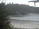 ./images/calvert/beach/20210529/beach20210529_184501.jpg