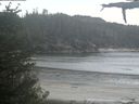 ./images/calvert/beach/20210529/beach20210529_185502.jpg