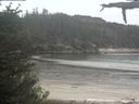 ./images/calvert/beach/20210529/beach20210529_193502.jpg