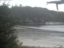 ./images/calvert/beach/20210529/beach20210529_195501.jpg