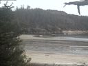 ./images/calvert/beach/20210529/beach20210529_210503.jpg