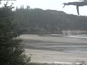 ./images/calvert/beach/20210601/beach20210601_115003.jpg