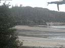 ./images/calvert/beach/20210601/beach20210601_120502.jpg