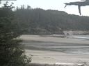 ./images/calvert/beach/20210601/beach20210601_131003.jpg