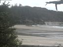 ./images/calvert/beach/20210601/beach20210601_151002.jpg