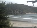 ./images/calvert/beach/20210601/beach20210601_174002.jpg