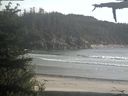 ./images/calvert/beach/20210601/beach20210601_180502.jpg