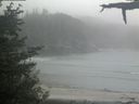 ./images/calvert/beach/20210601/beach20210601_191503.jpg