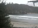 ./images/calvert/beach/20210601/beach20210601_212503.jpg