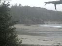 ./images/calvert/beach/20210602/beach20210602_115002.jpg