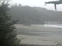./images/calvert/beach/20210602/beach20210602_120502.jpg