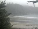 ./images/calvert/beach/20210602/beach20210602_170503.jpg