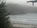 ./images/calvert/beach/20210602/beach20210602_205002.jpg