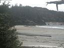 ./images/calvert/beach/20210603/beach20210603_125002.jpg