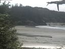 ./images/calvert/beach/20210603/beach20210603_130503.jpg