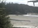./images/calvert/beach/20210603/beach20210603_131503.jpg