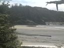 ./images/calvert/beach/20210603/beach20210603_132002.jpg