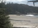 ./images/calvert/beach/20210603/beach20210603_133502.jpg