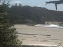 ./images/calvert/beach/20210603/beach20210603_135002.jpg