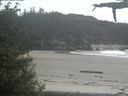 ./images/calvert/beach/20210603/beach20210603_155002.jpg