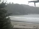 ./images/calvert/beach/20210604/beach20210604_110503.jpg