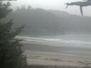 ./images/calvert/beach/20210604/beach20210604_115002.jpg