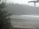 ./images/calvert/beach/20210604/beach20210604_175503.jpg
