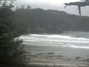./images/calvert/beach/20210605/beach20210605_105501.jpg