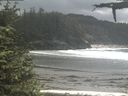 ./images/calvert/beach/20210605/beach20210605_134003.jpg
