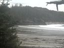 ./images/calvert/beach/20210605/beach20210605_143502.jpg