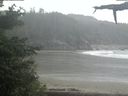 ./images/calvert/beach/20210608/beach20210608_085002.jpg