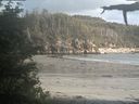 ./images/calvert/beach/20210609/beach20210609_193502.jpg