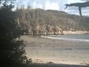 ./images/calvert/beach/20210609/beach20210609_195501.jpg
