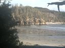 ./images/calvert/beach/20210609/beach20210609_202503.jpg