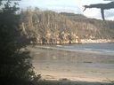 ./images/calvert/beach/20210609/beach20210609_203503.jpg