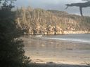 ./images/calvert/beach/20210609/beach20210609_205002.jpg
