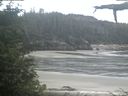 ./images/calvert/beach/20210610/beach20210610_063502.jpg