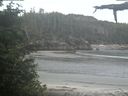 ./images/calvert/beach/20210611/beach20210611_061001.jpg