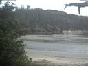 ./images/calvert/beach/20210611/beach20210611_071002.jpg