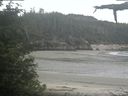 ./images/calvert/beach/20210611/beach20210611_094002.jpg