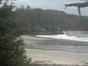 ./images/calvert/beach/20210612/beach20210612_120503.jpg