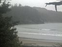 ./images/calvert/beach/20210612/beach20210612_145501.jpg