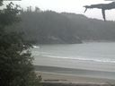 ./images/calvert/beach/20210612/beach20210612_165002.jpg
