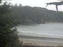 ./images/calvert/beach/20210612/beach20210612_165502.jpg