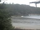 ./images/calvert/beach/20210613/beach20210613_070502.jpg