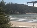 ./images/calvert/beach/20210613/beach20210613_144003.jpg